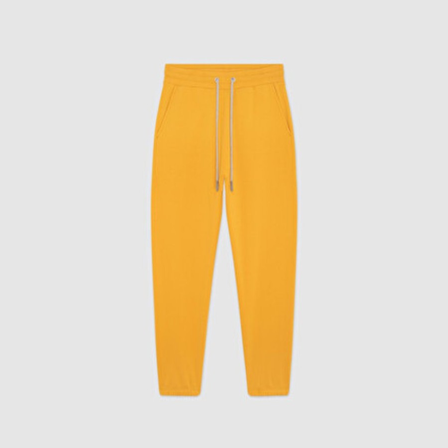 Homme SWEET PANTS | Jogger Beck Gold - Sweet Pants