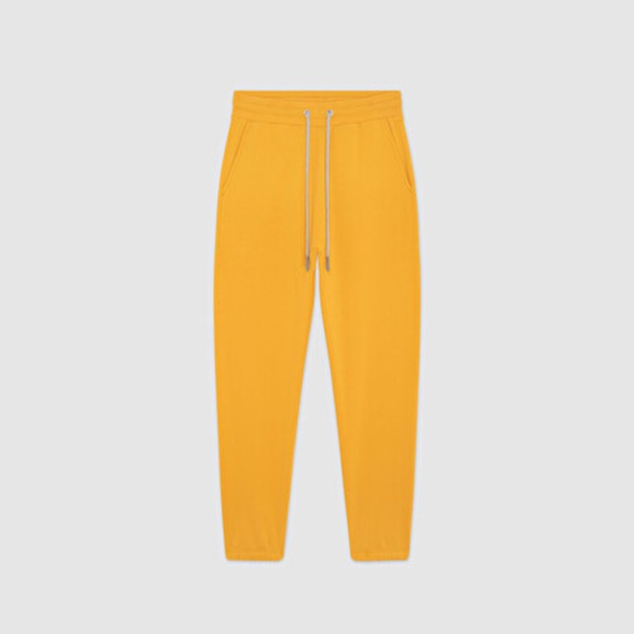 Femme SWEET PANTS | Jogger Beck Gold - Sweet Pants